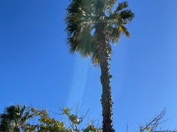 126-24-12-2025 XKIA1068